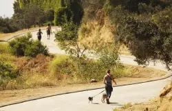 Couple confront a suspect on video after they spot him near a burning tree in Runyon Canyon