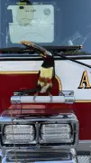 TikTok-famous toucan gets rescued by Arlington Co. firefighters