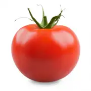 Here’s how a major Mexican tomato exporter is affected by Trump’s 17% tariff