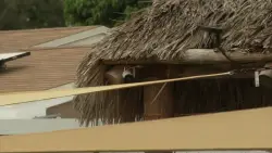 Cameras pointed at their backyard