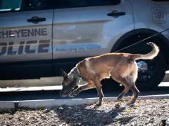 Suspected explosive device found and brought indoors prompts Wyoming Capitol evacuation