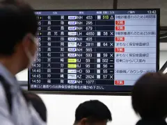 Airlines work to fix software glitch, some flights disrupted