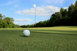 Does Minnesota have more golf courses than Arizona?