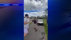 Former Panthers brawler Nick Tarnasky gets into fistfight on golf course in Canada